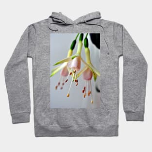 White Fuchsia Hawkshead Summer Flower Hoodie